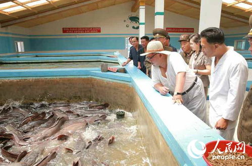 金正恩偕夫人視察鲇魚廠點贊品質，稱贊鲇魚、肉類令人稱贊